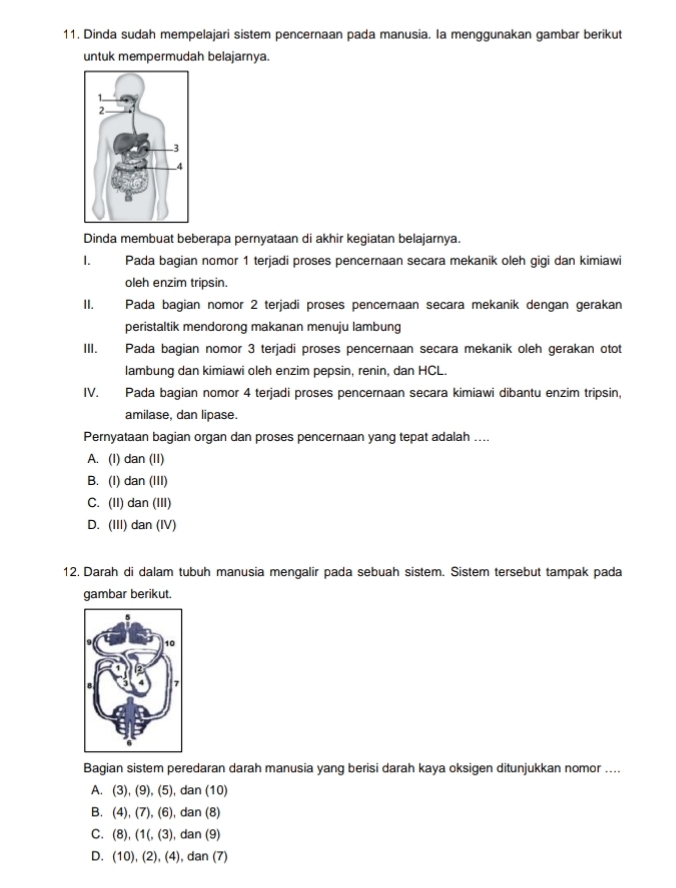 Dinda sudah mempelajari sistem pencernaan pada manusia. Ia menggunakan gambar berikut
untuk mempermudah belajarnya.
Dinda membuat beberapa pernyataan di akhir kegiatan belajarnya.
1. Pada bagian nomor 1 terjadi proses pencernaan secara mekanik oleh gigi dan kimiawi
oleh enzim tripsin.
II. Pada bagian nomor 2 terjadi proses pencernaan secara mekanik dengan gerakan
peristaltik mendorong makanan menuju lambung
III. Pada bagian nomor 3 terjadi proses pencernaan secara mekanik oleh gerakan otot
lambung dan kimiawi oleh enzim pepsin, renin, dan HCL.
IV. Pada bagian nomor 4 terjadi proses pencernaan secara kimiawi dibantu enzim tripsin,
amilase, dan lipase.
Pernyataan bagian organ dan proses pencernaan yang tepat adalah ....
A. (I) dan (II)
B. (I) dan (III)
C. (II) dan (III)
D. (III) dan (IV)
12, Darah di dalam tubuh manusia mengalir pada sebuah sistem. Sistem tersebut tampak pada
gambar berikut.
Bagian sistem peredaran darah manusia yang berisi darah kaya oksigen ditunjukkan nomor ....
A. (3), (9), (5), dan (10)
B. (4), (7), (6), dan (8)
C. (8), (1(, (3), dan (9)
D. (10), (2), (4), dan (7)