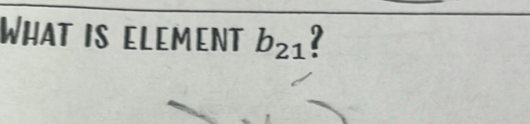 What is element b_21 ?