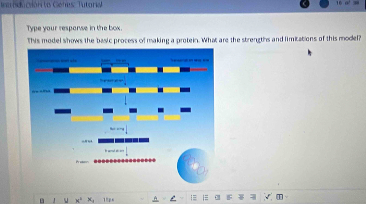 Introductión to Gehes: Tutorial 16 af 38 
Type your response in the box. 
This model shows the basic process of making a protein. What are the strengths and limitations of this model? 
B 1 u x^1 x_1 15ps
C