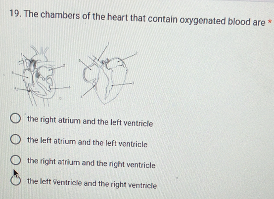 The chambers of the heart that contain oxygenated blood are *
the right atrium and the left ventricle
the left atrium and the left ventricle
the right atrium and the right ventricle
the left ventricle and the right ventricle