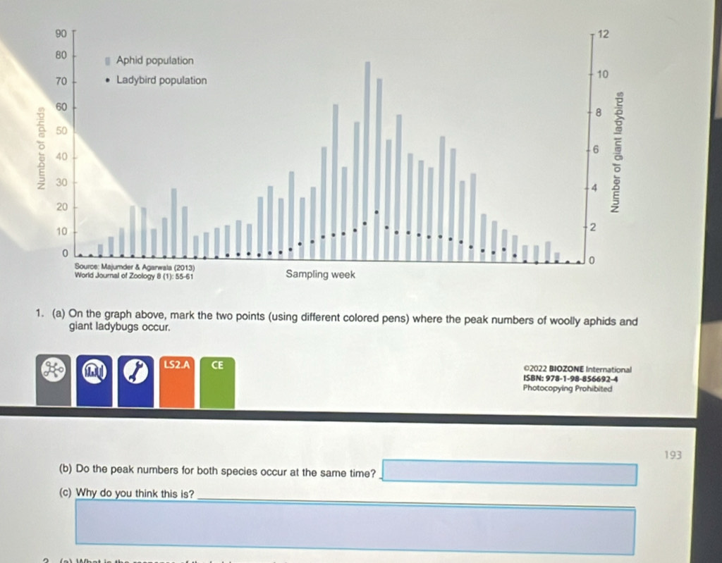 On the graph above, mark the two points (using different colored pens) where the peak numbers of woolly aphids and 
giant ladybugs occur. 
LS2.A CE ©2022 BIOZONE International 
ISBN: 978-1-98-856692-4
Photocopying Prohibited 
193 
(b) Do the peak numbers for both species occur at the same time? 
(c) Why do you think this is?_