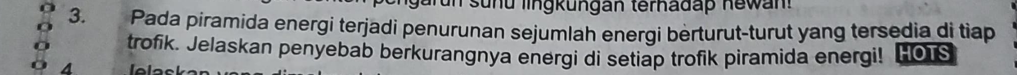 su nd lingkungan terhadap ne w an 
3. Pada piramida energi terjadi penurunan sejumlah energi berturut-turut yang tersedia di tiap 
trofik. Jelaskan penyebab berkurangnya energi di setiap trofik piramida energi! HOTS 
4