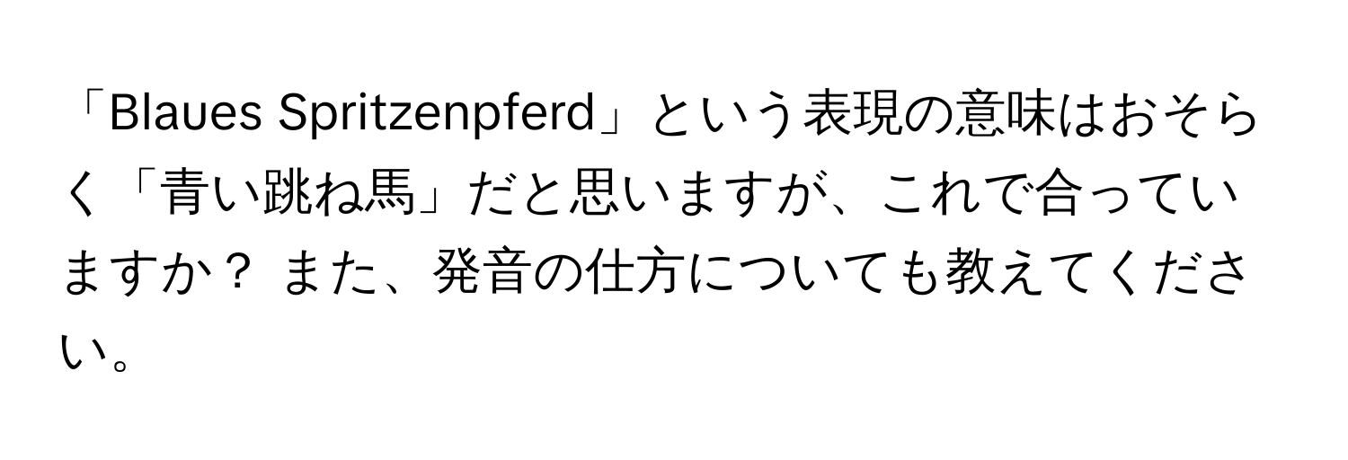 「Blaues Spritzenpferd」という表現の意味はおそらく「青い跳ね馬」だと思いますが、これで合っていますか？ また、発音の仕方についても教えてください。