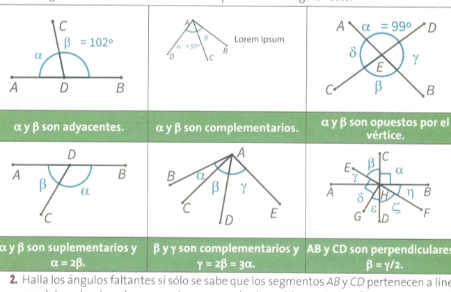 A
β Lorem ipsum
alpha =57° B
D C
 
α γ β son adyacentes. α γ β son complementarios. α γ β son opuestos por el
vértice.
A
C
E β α
B α
γ
β γ
A δ H B
D E G ε F
D
α y β son suplementarios y β y γ son complementarios y AB y CD son perpendiculares
alpha =2beta .
gamma =2beta =3alpha .
beta =gamma /2.
2. Halla los ángulos faltantes si sólo se sabe que los segmentos AB y CD pertenecen a líne