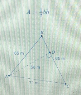 A= 1/2 bh