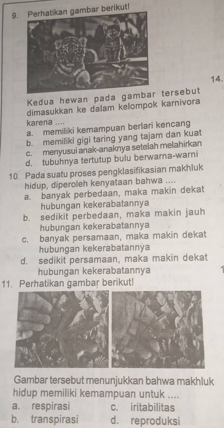 berikut!
14.
Kedua hewan pada gamb tersebut
dimasukkan ke dalam kelompok karnivora
karena ....
a. memiliki kemampuan berlari kencang
b. memiliki gigi taring yang tajam dan kuat
c. menyusui anak-anaknya setelah melahirkan
d. tubuhnya tertutup bulu berwarna-warni
10. Pada suatu proses pengklasifikasian makhluk
hidup, diperoleh kenyataan bahwa ....
a. banyak perbedaan, maka makin dekat
hubungan kekerabatannya
b. sedikit perbedaan, maka makin jauh
hubungan kekerabatannya
c. banyak persamaan, maka makin dekat
hubungan kekerabatannya
d. sedikit persamaan, maka makin dekat
hubungan kekerabatannya 1
11. Perhatikan gambar berikut!
Gambar tersebut menunjukkan bahwa makhluk
hidup memiliki kemampuan untuk ....
a. respirasi c. iritabilitas
b. transpirasi d. reproduksi