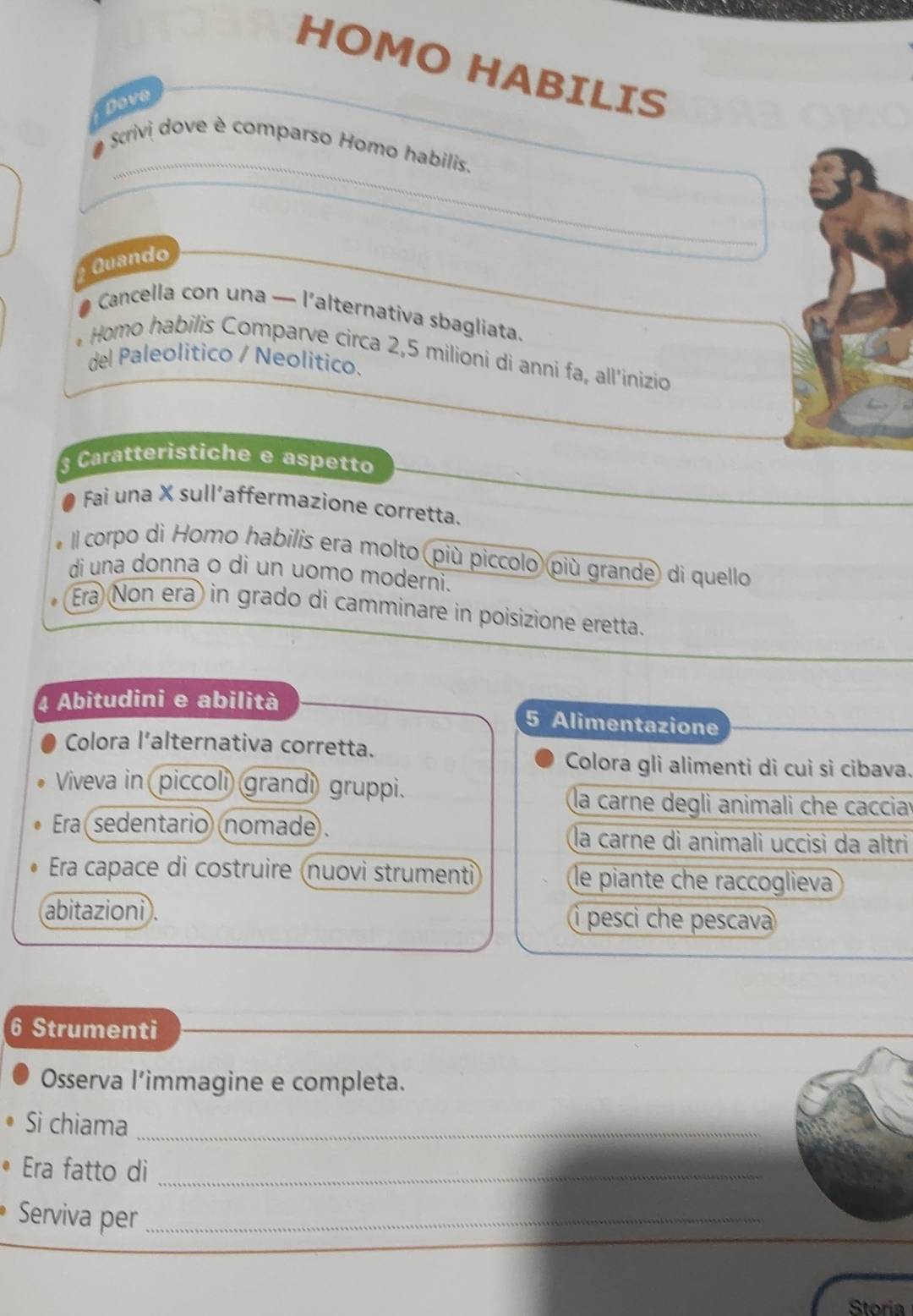 HOMO HABILIS
Dove
_
_
o Scrivi dove è comparso Homo habilis.
Quando
_
Cancella con una — l'alternativa sbagliata.
* Homo habilis Comparve circa 2,5 milioni di anni fa, all’inizio
del Paleolitico / Neolitico.
3 Caratteristiche e aspetto
Fai una X sull’affermazione corretta.
o Il corpo dì Homo habilis era molto più piccolo più grande) di quello
di una donna o di un uomo moderni.
Era Non era in grado di camminare in poisizione eretta.
4 Abitudini e abilità 5 Alimentazione
Colora l’alternativa corretta.
Colora gli alimenti di cuì sì cibava.
Viveva in piccoli) grandi) gruppi.
la carne degli animali che caccia
Era sedentario nomade. la carne di animali uccisi da altri
Era capace di costruire (nuovi strumenti le piante che raccoglieva
abitazioni . i pesci che pescava
6 Strumenti
Osserva l’immagine e completa.
Si chiama_
Era fatto di_
Serviva per_
Storia