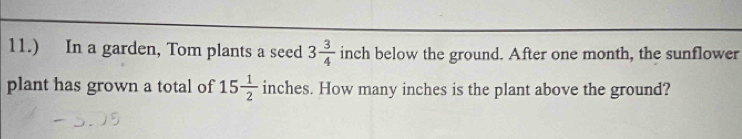 11.) In a garden, Tom plants a seed 3 3/4  inch below the ground. After one month, the sunflower 
plant has grown a total of 15 1/2  inches. How many inches is the plant above the ground?