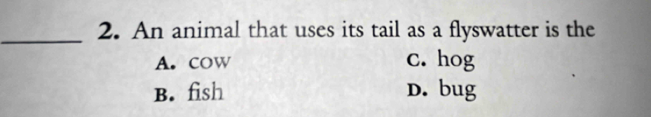 An animal that uses its tail as a flyswatter is the
A. cow c. hog
B. fish D. bug