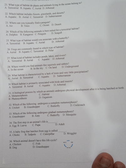 What type of habetat do plants and animals living in the ocean belong to?
A. Terrestrial B. Aquatic C. Aerial D. Arborea
22. Which habitat includes forests, grasslands, and deserts?
A. Aquatic B. Aerial C. Terrestrial D. Subterraneam
23. Where can you typically find a penguin? B. Trees C. Ocean D. Desen
A. Air
A. Dolphin 24. Which of the following animals is best suited for a terrestrial habitat D. Seagull
B. Kangaroo C. Penguin
25. What type of habitat would you associate with a batterfly? C. Aerial D. Arboreal
A. Terrestrial B. Aquatic
26. Frogs are commonly found in which type of habitat?
A. Aerial B. Aquatic C. Terrestrial D. Polar
27. What kind of habitat includes ponds, lakes, and rivers? C. Aquatic D. Arboreal
A. Terrestrial B. Aerial
28. Where would you find animals like squirrels and rabbits? C. On land D. Underground
A. In the ocean B. In the sky
29. What habitat is characterized by a lack of trees and very little precipitation?
A. Aerial B. Terrestrial C. Aquatic D. Subterranean
30.Which habitat is primarily associated with birds and insects? D. Arboreal
A. Terrestrial B. Acrial C. Aquatic
31. A biological process by which an animals undergoes physical development after it is being batched or birth
B. Photosymhesis A. Metamorphosis D. Organism C. Habitat
32. Which of the following undergoes a complete metamorphosis? C. Butterfly D. Cockroach
A. Cricket B. Grasshopper
33. Which of the following undergoes gradual metamorphosis?
A. Grasshopper B. Ants C. Butterfly D. Mosquito
34. The first step in an animal's life is_
A. Egg B. Larva C. Pupa D. Adult
A. Chicks 35. A baby frog that hatches from egg is called B. Tadpole C. Caterpillar _D. Wriggler
36. Which animal doesn't have this life cycle?
A. Chicken C. Fish
B. Dog D. Grasshopper