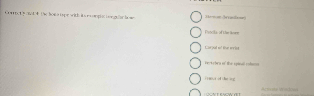 Correctly match the bone type with its example: Irregular bone. Sternum (breastbone)
Patella of the knee
Carpal of the wrist
Vertebra of the spinal column
Femur of the leg
Activate Windows