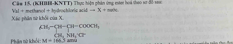 (KHBH-KNTT) Thực hiện phản ứng ester hoá theo sơ đồ sau: 
Val + methanol + hydrochloric acid X+nudc. 
Xác phân tử khối của X. 
Phân tử khối: beginarrayr CH_3-CH-COOCH_3 CH_3NH_3^(+Cr M=1665amlendarray) M=166,5am