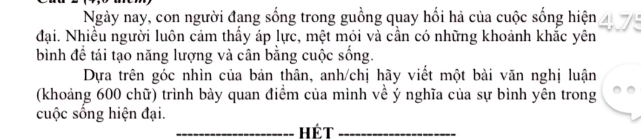 Ngày nay, con người đạng sống trong guồng quay hối hả của cuộc sống hiện 
đại. Nhiều người luôn cảm thấy áp lực, mệt mỏi và cần có những khoảnh khắc yên 
bình để tái tạo năng lượng và cân bằng cuộc sống. 
Dựa trên góc nhìn của bản thân, anh/chị hãy viết một bài văn nghị luận 
(khoảng 600 chữ) trình bày quan điểm của mình về ý nghĩa của sự bình yên trong 
cuộc sống hiện đại. 
_Hét_