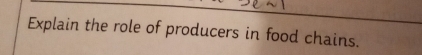 Explain the role of producers in food chains.