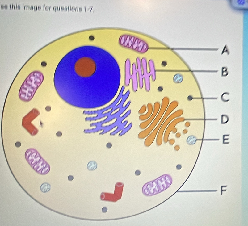 se this image for questions 1-7.