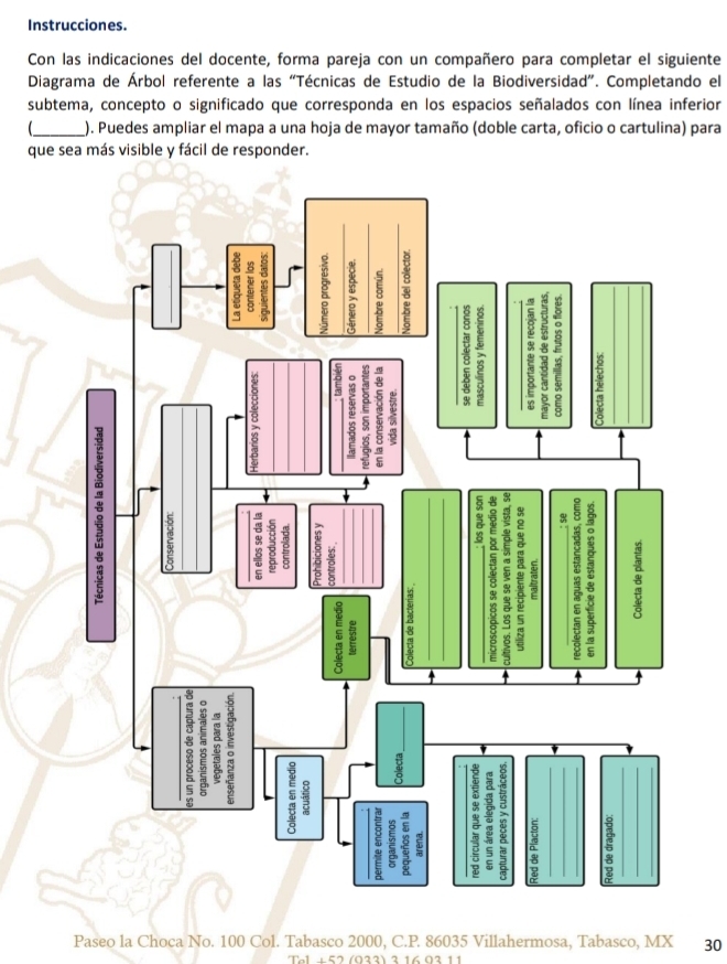 Instrucciones. 
Con las indicaciones del docente, forma pareja con un compañero para completar el siguiente 
Diagrama de Árbol referente a las “Técnicas de Estudio de la Biodiversidad”. Completando el 
subtema, concepto o significado que corresponda en los espacios señalados con línea inferior 
_). Puedes ampliar el mapa a una hoja de mayor tamaño (doble carta, oficio o cartulina) para 
que sea más visible y fácil de responder. 
Paseo la Choca No. 100 Col. Tabasco 2000, C. P. 86035 Villahermosa, Tabasco, MX 30