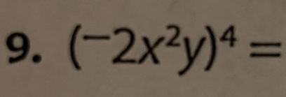 (-2x^2y)^4=