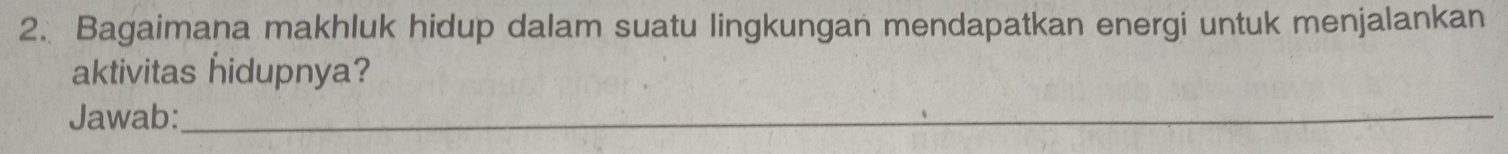 Bagaimana makhluk hidup dalam suatu lingkungan mendapatkan energi untuk menjalankan 
aktivitas hidupnya? 
Jawab:_