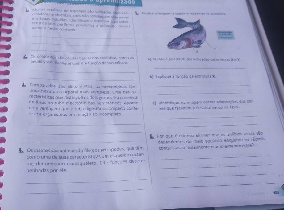 prenu zado 
1 Muitas espécies de esponjas são utilizadas como in- Analisé a imagem a seguir e responda às questões 
dicadores ambientais, pois não conseguem sobreviver 
em águas poluídas. Identifique e explique qual carac 
serística dos poríferos possibilita a utilização desses 
animais nesse contexto. 
_ 
_ 
_ 
d Os cnidócitos são células típicas dos cnidários, como as a) Nomeie as estruturas indicadas pelas letras x=y
_ 
águas-vivas. Explique qual é a função dessas células. 
_ 
_b) Explique a função da estrutura X. 
d Comparados aos platelmintos, os nematódeos têm_ 
uma estrutura corporal mais complexa. Uma das ca-_ 
racterísticas que distingue os dois grupos é a presença 
de ânus no tubo digestório dos nematódeos. Aponte c) Identifique na imagem outras adaptações dos pei 
uma vantagem que o tubo digestório completo confe- xes que facilitam o deslocamento na água. 
re aos organismos em relação ao incompleto. 
_ 
__ 
_ 
Por que é correto afirmar que os anfíbios ainda são 
_dependentes do meio aquático enquanto os répteis 
Os insetos são animais do filo dos artrópodes, que têm conquistaram totalmente o ambiente terrestre? 
como uma de suas características um esqueleto exter-_ 
_ 
no, denominado exoesqueleto. Cite funções desem- 
_ 
penhadas por ele. 
_ 
_ 
_ 
483