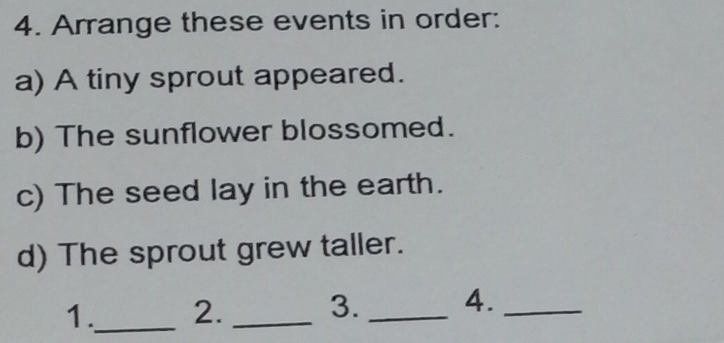 Arrange these events in order: 
a) A tiny sprout appeared. 
b) The sunflower blossomed. 
c) The seed lay in the earth. 
d) The sprout grew taller. 
1._ 
2._ 
3._ 
4._