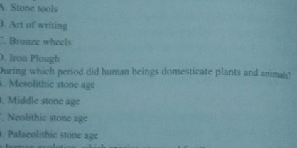 A. Stone tools
3. Art of writing
C. Bronze wheels
D. Iron Plough
During which period did human beings domesticate plants and animals?
A. Mesolithic stone age
. Middle stone age
Neolithic stone age
. Palaeolithic stone age