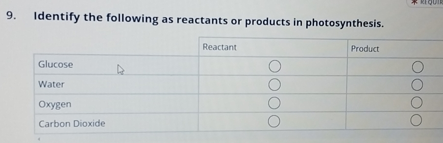 Identify the following as reactants or products in photosynthesis.