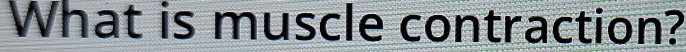 What is muscle contraction?