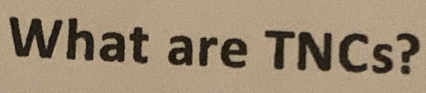 What are TNCs?