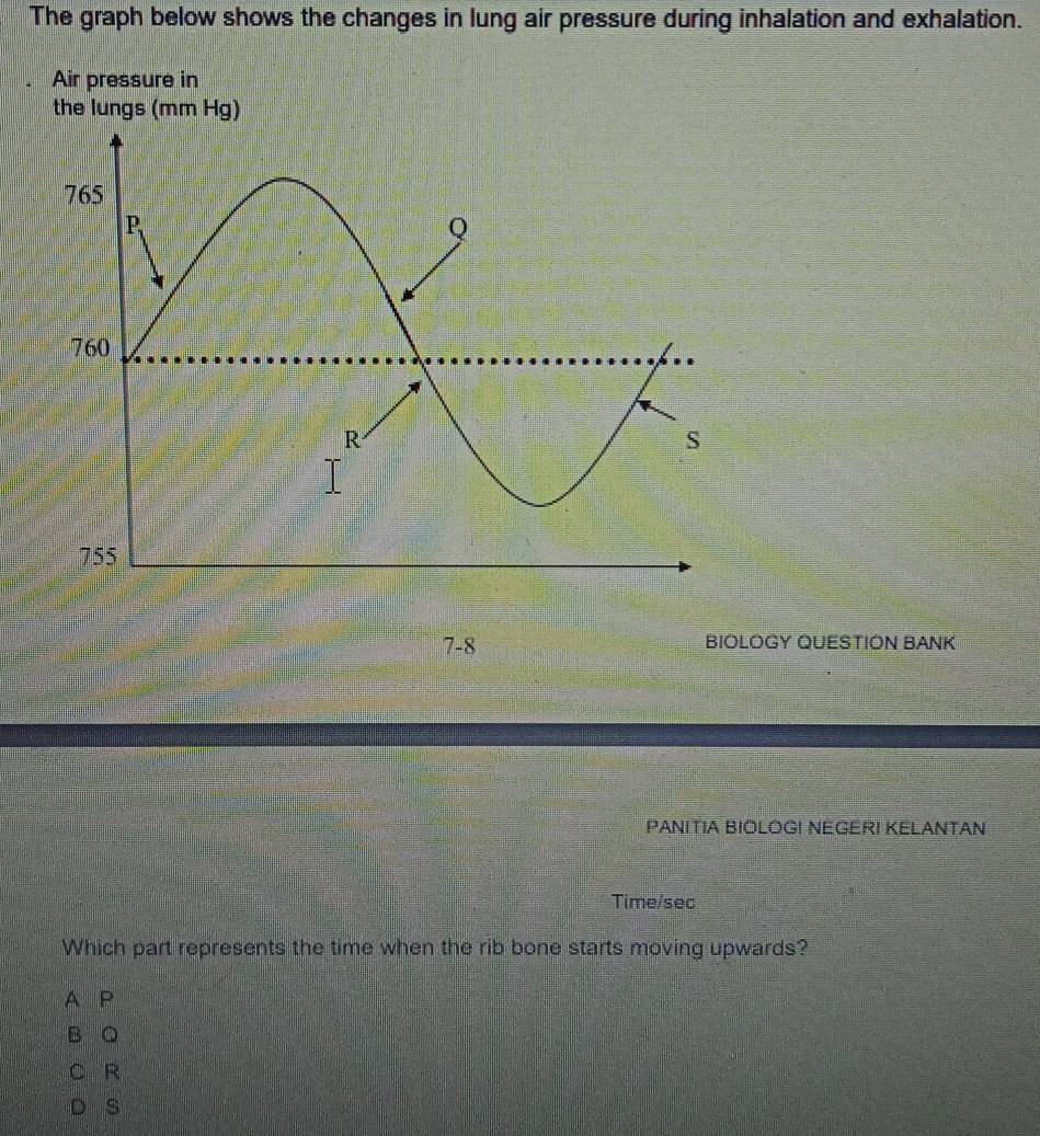 The graph below shows the changes in lung air pressure during inhalation and exhalation.
Air pressure in
the lungs (mm Hg)
7-8 BIOLOGY QUESTION BANK
PANITIA BIOLOGI NEGERI KELANTAN
Time/sec
Which part represents the time when the rib bone starts moving upwards?
A P
B Q
C R
D s