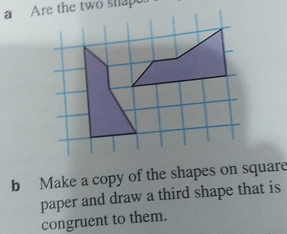 Make a copy of the shapes on square 
paper and draw a third shape that is 
congruent to them.