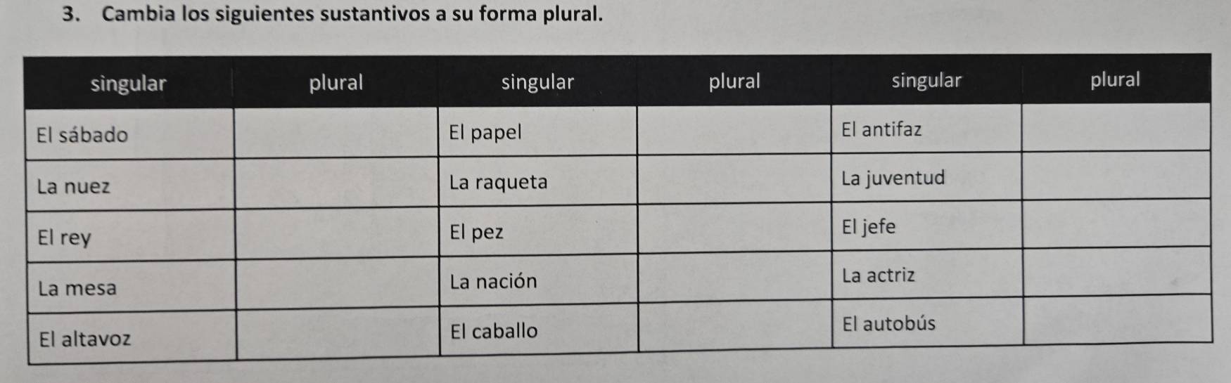 Cambia los siguientes sustantivos a su forma plural.