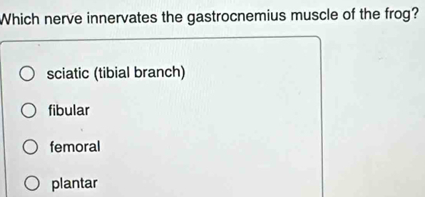 Solved: Which nerve innervates the gastrocnemius muscle of the frog ...