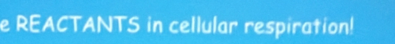 REACTANTS in cellular respiration!