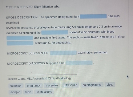 TISSUE RECEIVED: Right fallopian tube. 
GROSS DESCRIPTION: The specimen designated right tube was 
examined 
reveals the presence of a fallopian tube measuring 5.9 cm in length and 2.3 cm in average 
diameter. Sectioning of the shows it to be distended with blood 
and possible field tissue. The sections were taken, and placed in three 
. A through C, for embedding. 
MICROSCOPIC DESCRIPTION: examination performed. 
MICROSCOPIC DIAGNOSIS: Ruptured tubal_ 
_ 
_ 
Joseph Gibbs, MD, Anatomic & Clinical Pathology 
fallopian pregnancy cassettes ultrasound salpingectomy clots 
ectopic tube Microscopic