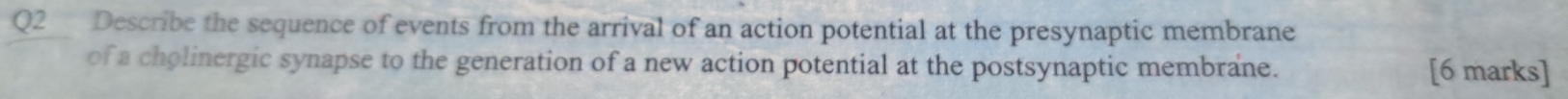 Describe the sequence of events from the arrival of an action potential at the presynaptic membrane 
of a cholinergic synapse to the generation of a new action potential at the postsynaptic membrane. [6 marks]