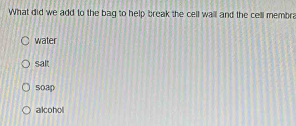 What did we add to the bag to help break the cell wall and the cell membra
water
salt
soap
alcohol