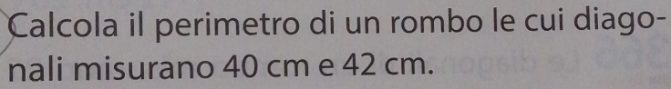 Calcola il perimetro di un rombo le cui diago- 
nali misurano 40 cm e 42 cm.