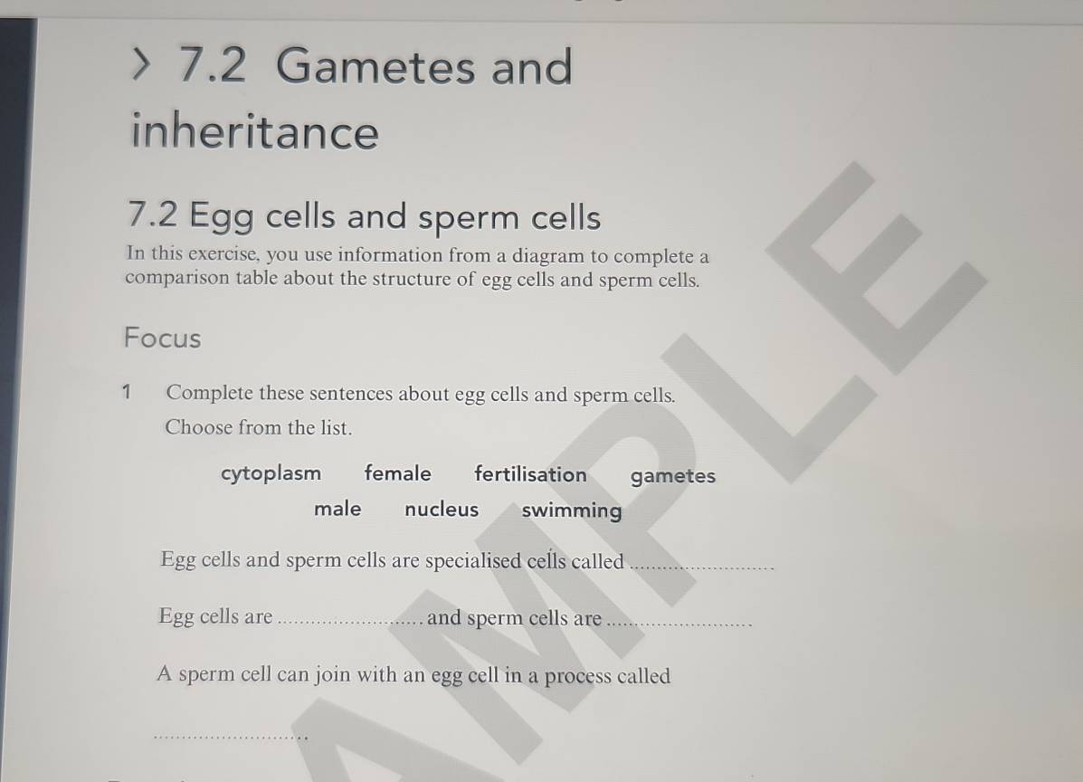 7.2 Gametes and
inheritance
7.2 Egg cells and sperm cells
In this exercise, you use information from a diagram to complete a
comparison table about the structure of egg cells and sperm cells.
Focus
1 Complete these sentences about egg cells and sperm cells.
Choose from the list.
cytoplasm female fertilisation gametes
male nucleus swimming
Egg cells and sperm cells are specialised cells called_
Egg cells are_ and sperm cells are_
A sperm cell can join with an egg cell in a process called