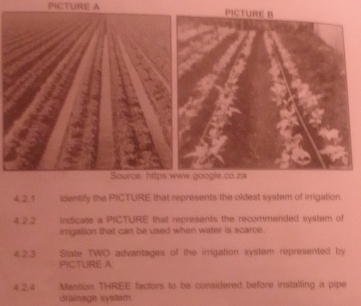 PICTURE A 
4.2.1 ldentilly the PICTURE that represents the oldest system of irrigation. 
4.2.2 Indicate a PICTURE that represents the recommended system of 
imigation that can be used when water is scarce. 
4 2 3 State TWO advantages of the irrigation system represented by 
PICTURE A 
4.2.4 Mention THREE factors to be considered before installing a pipe 
drainage system.