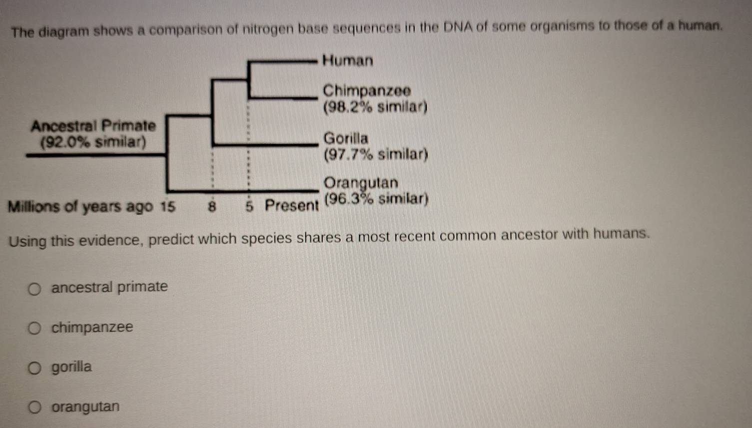 The diagram shows a comparison of nitrogen base sequences in the DNA of some organisms to those of a human.
Millions of years ago 15
Using this evidence, predict which species shares a most recent common ancestor with humans.
ancestral primate
chimpanzee
gorilla
orangutan