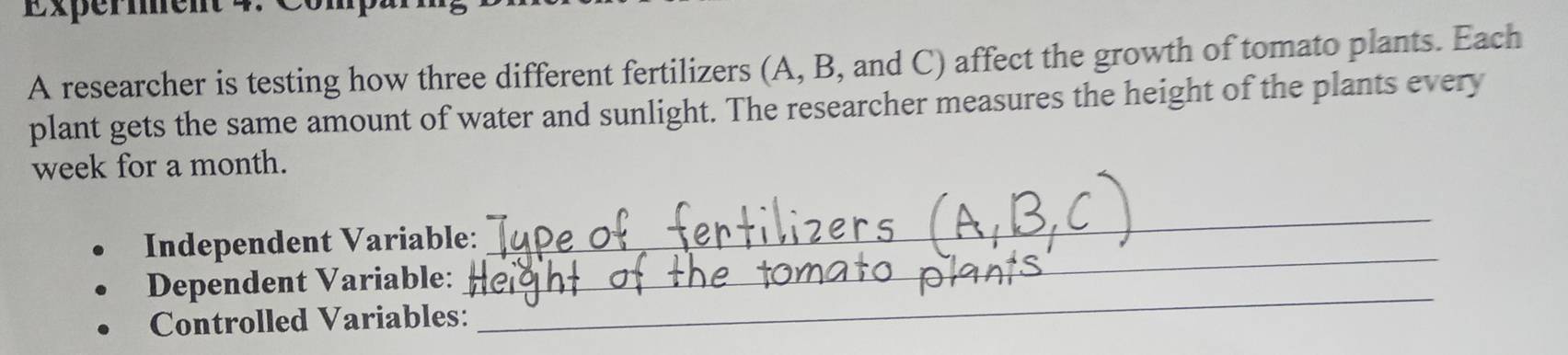 Exper ment 4. Com 
A researcher is testing how three different fertilizers (A, B, and C) affect the growth of tomato plants. Each 
plant gets the same amount of water and sunlight. The researcher measures the height of the plants every 
week for a month. 
_ 
_ 
Independent Variable: 
_ 
Dependent Variable: 
Controlled Variables: