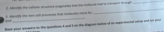 Identify the cellular structure (organelle) that the molecule had to transport through. 
_ 
3. identify the two cell processes that molecules move by: 
_ 
_. 
and 
Base your answers to the questions 4 and 5 on the diagram below of an experimental setup and on your