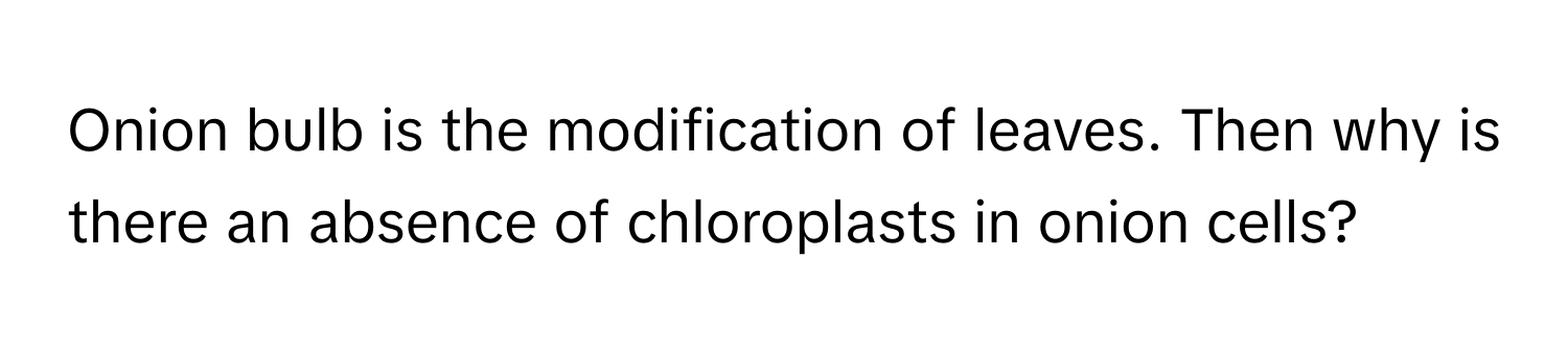 Onion bulb is the modification of leaves. Then why is there an absence of chloroplasts in onion cells?