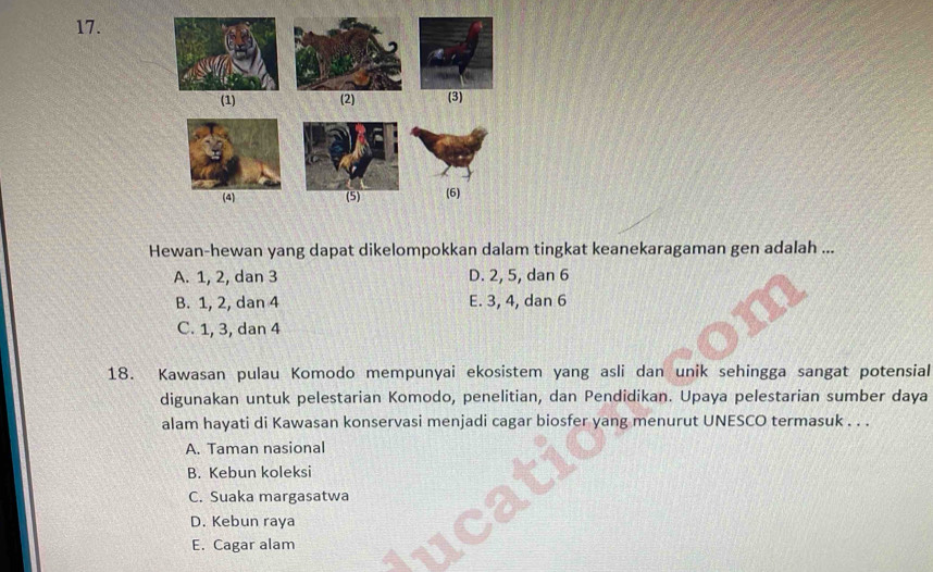 (1) (2) (3)
(4) (5) (6)
Hewan-hewan yang dapat dikelompokkan dalam tingkat keanekaragaman gen adalah ...
A. 1, 2, dan 3 D. 2, 5, dan 6
B. 1, 2, dan 4 E. 3, 4, dan 6
C. 1, 3, dan 4
18. Kawasan pulau Komodo mempunyai ekosistem yang asli dan unik sehingga sangat potensial
digunakan untuk pelestarian Komodo, penelitian, dan Pendidikan. Upaya pelestarian sumber daya
alam hayati di Kawasan konservasi menjadi cagar biosfer yang menurut UNESCO termasuk . . .
A. Taman nasional
B. Kebun koleksi
C. Suaka margasatwa
D. Kebun raya
E. Cagar alam