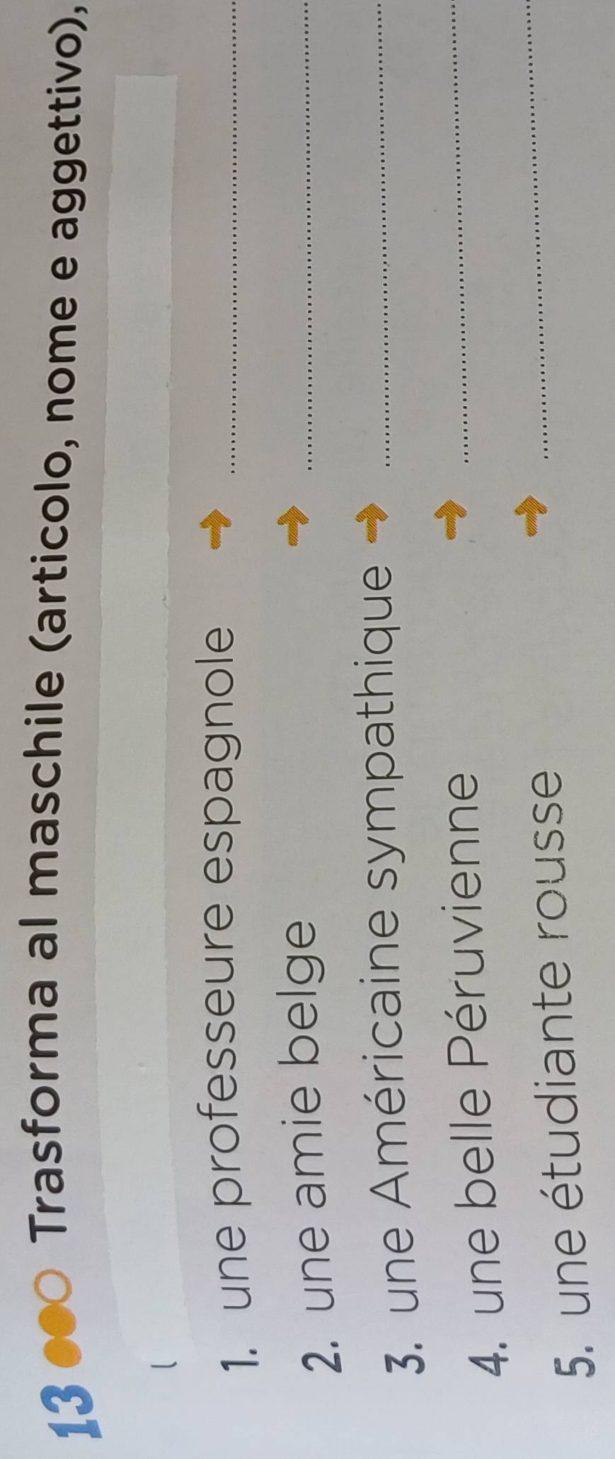 13 ● Trasforma al maschile (articolo, nome e aggettivo), 
1. une professeure espagnole_ 
2. une amie belge 
_ 
3. une Américaine sympathique_ 
4. une belle Péruvienne_ 
5. une étudiante rousse 
_