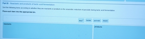 Reactants and products of lactic acid formentation 
Son the following items according to whether they are reactants or products in the anaerobic reduction of pyruvate during lactic acid formentation. 
Place each item into the appropriate bin.
(w4)^4 lactate NADH 
reactants produces
