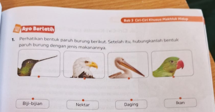 Bab 3 Ciri-Ciri Khusus Makhluk Hidup 
Ayo Berlatih 
1. Perhatikan bentuk paruh burung berikut. Setelah itu, hubungkanlah bentuk 
paruh burung dengan jenis makanannya. 
Biji-bijian Nektar Daging Ikan