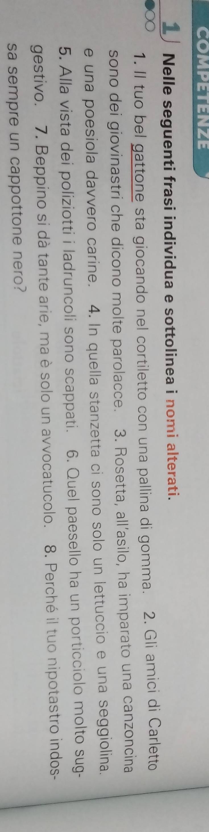 Nelle seguenti frasi individua e sottolinea i nomi alterati. 
1. Il tuo bel gattone sta giocando nel cortiletto con una pallina di gomma. 2. Gli amici di Carletto 
sono dei giovinastri che dicono molte parolacce. 3. Rosetta, all’asilo, ha imparato una canzoncina 
e una poesiola davvero carine. 4. In quella stanzetta ci sono solo un lettuccio e una seggiolina. 
5. Alla vista dei poliziotti i ladruncoli sono scappati. 6. Quel paesello ha un porticciolo molto sug- 
gestivo. 7. Beppino si dà tante arie, ma è solo un avvocatucolo. 8. Perché il tuo nipotastro indos- 
sa sempre un cappottone nero?