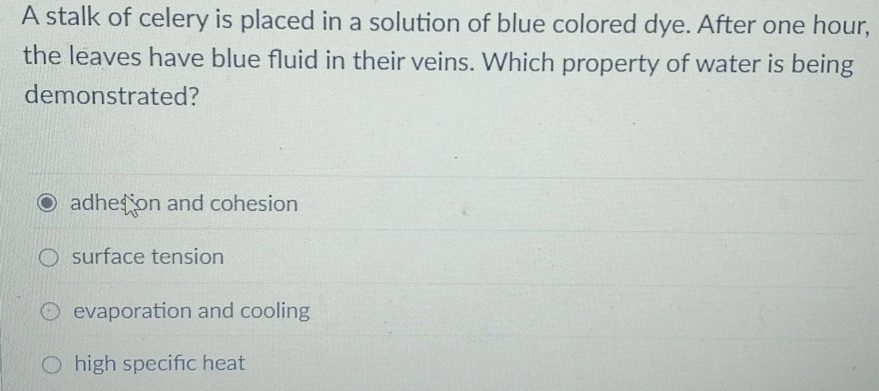 A stalk of celery is placed in a solution of blue colored dye. After one hour,
the leaves have blue fluid in their veins. Which property of water is being
demonstrated?
adhes ion and cohesion
surface tension
evaporation and cooling
high specifc heat