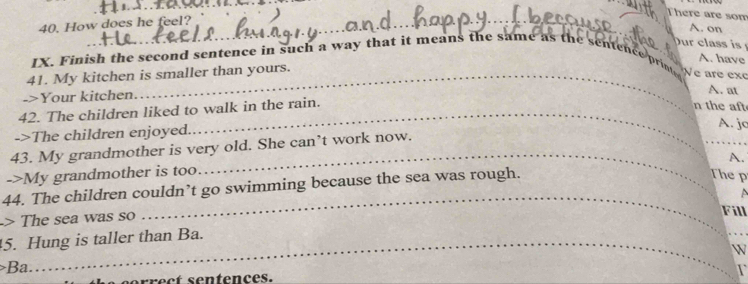 There are som 
40. How does he feel? _ 
_ 
A. on 
ur c 
A. have 
IX. Finish the second sentence in such a way that it means the same as the sentence prip 
41. My kitchen is smaller than yours. 
Ne are ex 
->Your kitchen 
A. at 
42. The children liked to walk in the rain. 
n the aft 
->The children enjoyed. 
A. jo 
_ 
43. My grandmother is very old. She can’t work now. 
_ 
A. 
->My grandmother is too 
44. The children couldn’t go swimming because the sea was rough. 
The p 
a 
_ 
> The sea was so 
_ 
Fill 
_ 
_ 
5. Hung is taller than Ba. 
Ba. 

r ec t sentences.